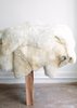 Charlie & Lee Hold Canadian Sheepskins - Shaggy White - Thumbnail 1