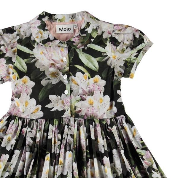 kids molo cybil dress - pretty puppy kids molo cybil dress - pretty puppy