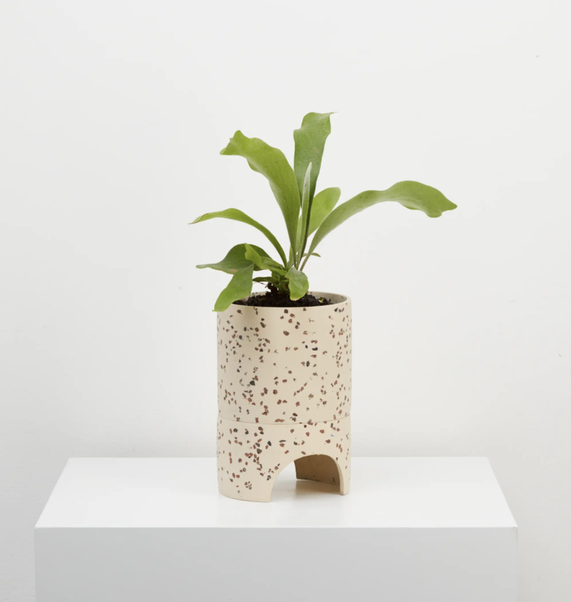 Capra Designs Archie Planter