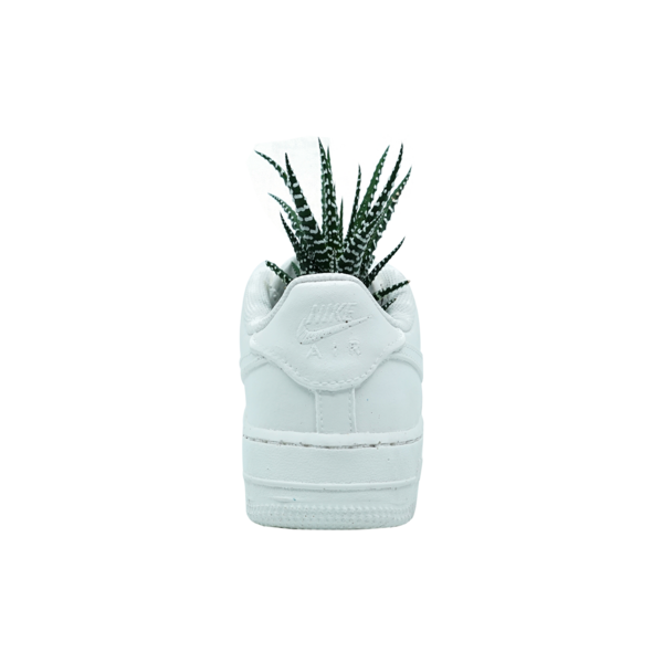 air force one planter