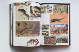 Lous Martens Animal Books For Lous Martens Animal Books For