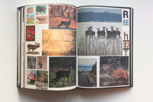 Lous Martens Animal Books For Lous Martens Animal Books For