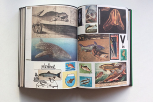 Lous Martens Animal Books For Lous Martens Animal Books For
