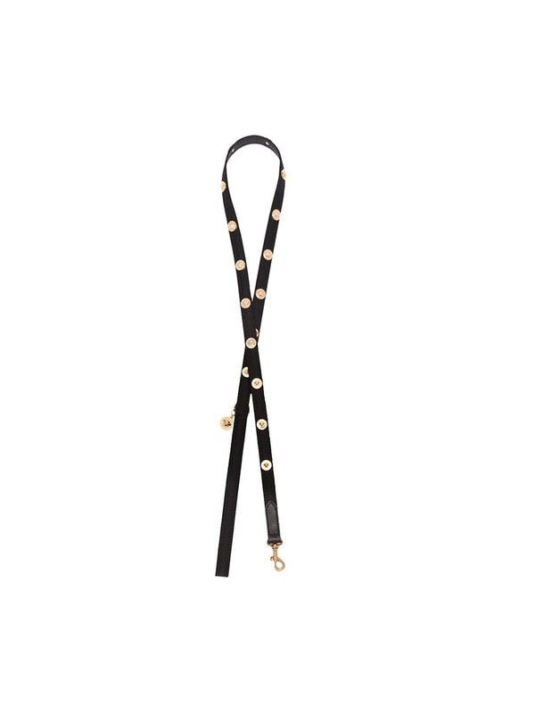 Medusa Stud Collar And Leash Set Medusa Stud Collar And Leash Set