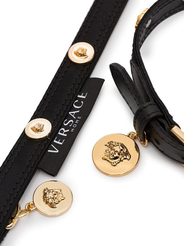Medusa Stud Collar And Leash Set Medusa Stud Collar And Leash Set