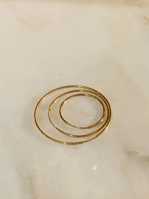 Gabriela Artigas Disc Hoops 