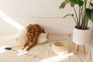 Territory Nueva Floor Pillow Territory Nueva Floor Pillow