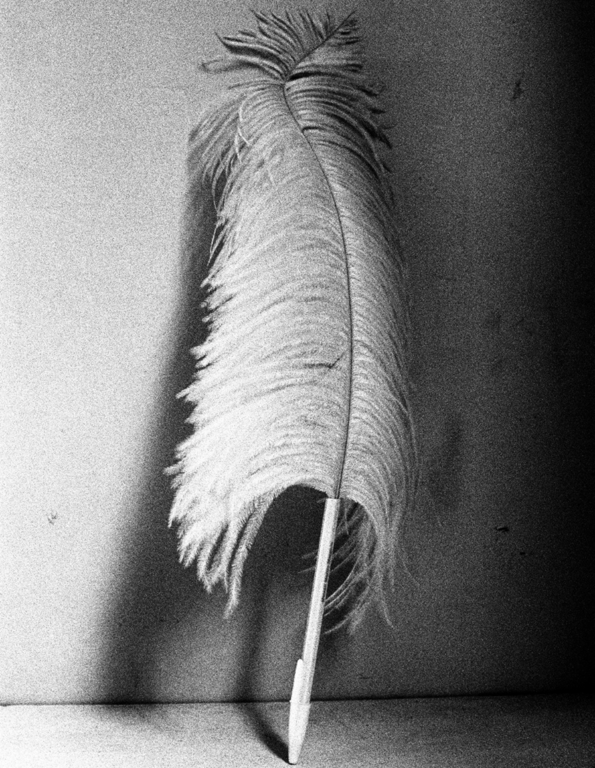 小物 Maison Martin Margiela Feather Pen Martin Margiela Feather Pen - Ostrich | Garmentory