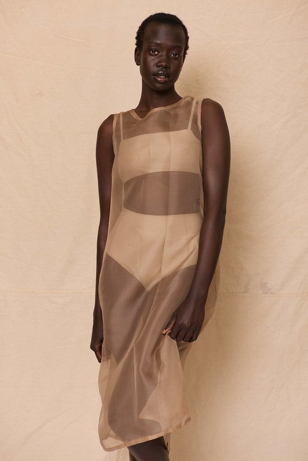 Organza Dress | Stone Organza Dress | Stone