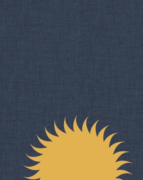 Aperture "Let the Sun Beheaded Be" by Gregory Halpern book Aperture "Let the Sun Beheaded Be" by Gregory Halpern book