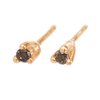 Tarin Thomas Taylor Cognac Diamond Earrings  - Thumbnail 1