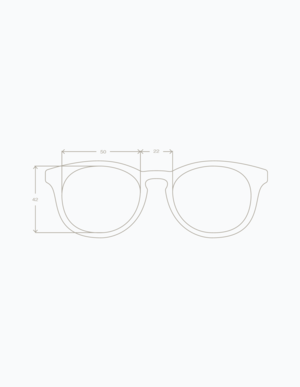 Timeless Sunglasses Timeless Sunglasses