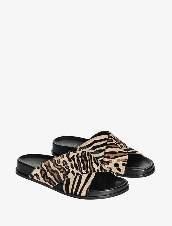 Lizzie Slides Lizzie Slides