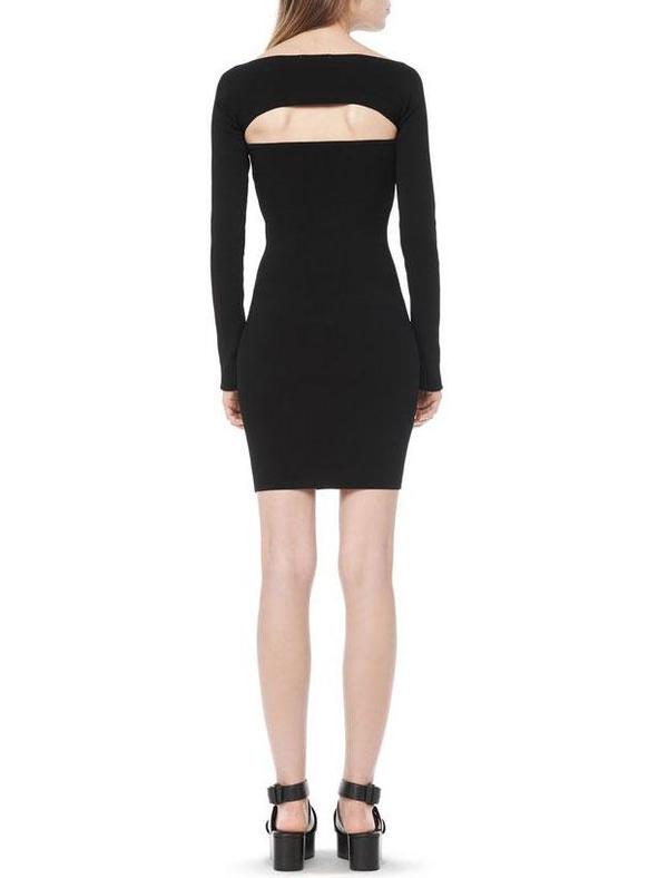 alexander wang long sleeve dress