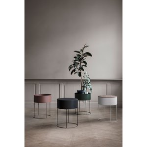 standort olivenbaum balkon Olivenbaum Gartenpflanze 24cm 160cm Balkon Terrasse kaufen