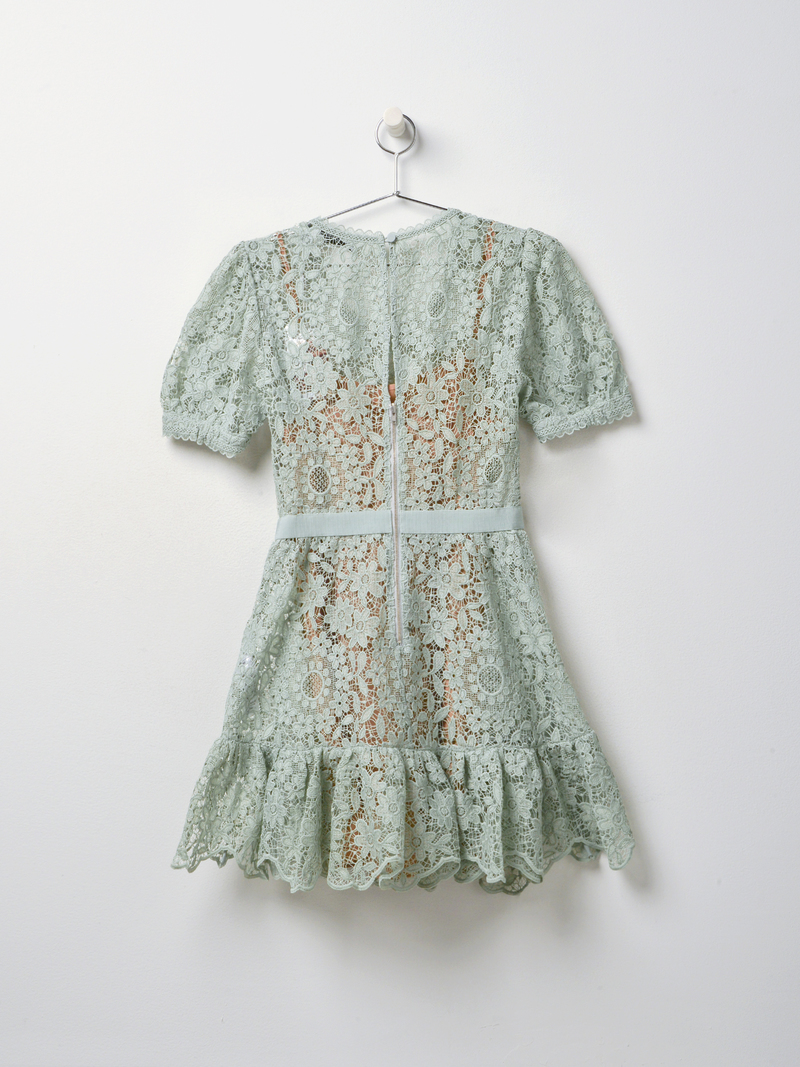 short dress with lace overlay Perry Guava Lace Overlay Short Dress