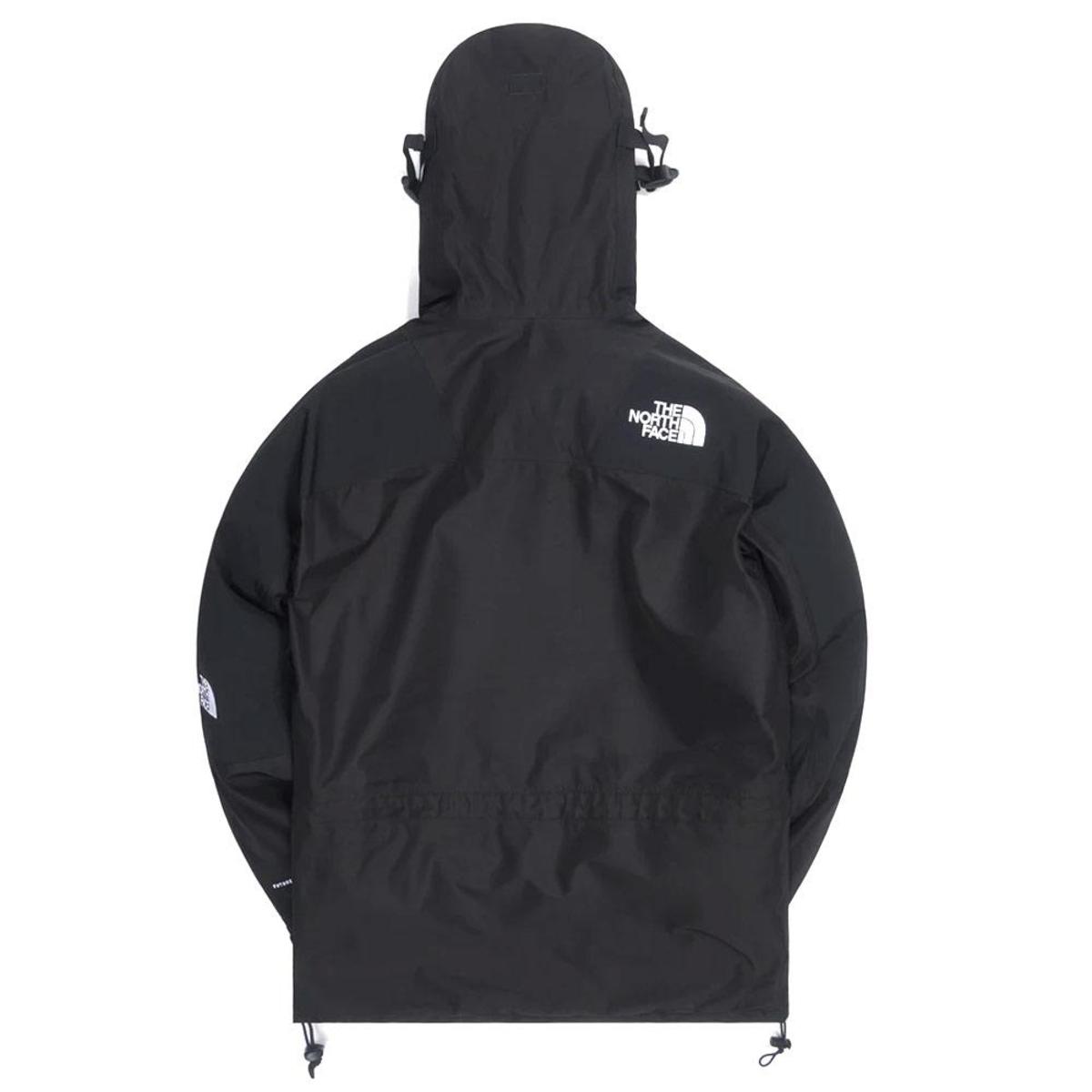 THE NORTH FACE 1994 Retro Mountain Light Futurelight Jacket - Image 2 of 8