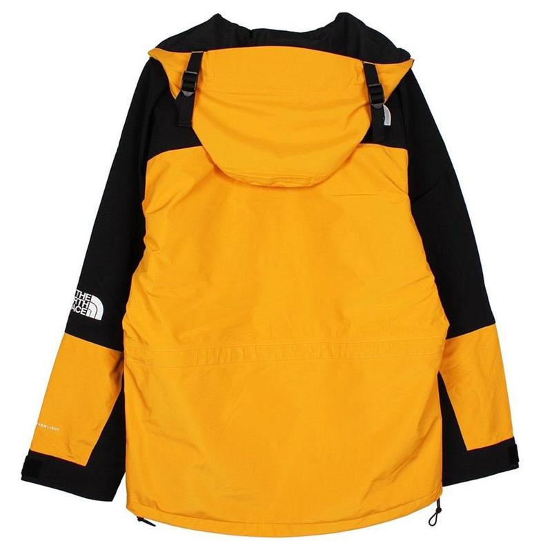 THE NORTH FACE 1994 Retro Mountain Light Futurelight Jacket