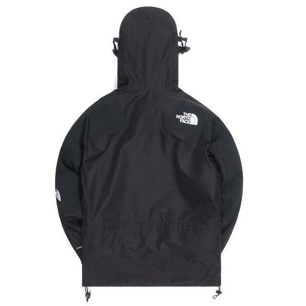 THE NORTH FACE 1994 Retro Mountain Light Futurelight Jacket