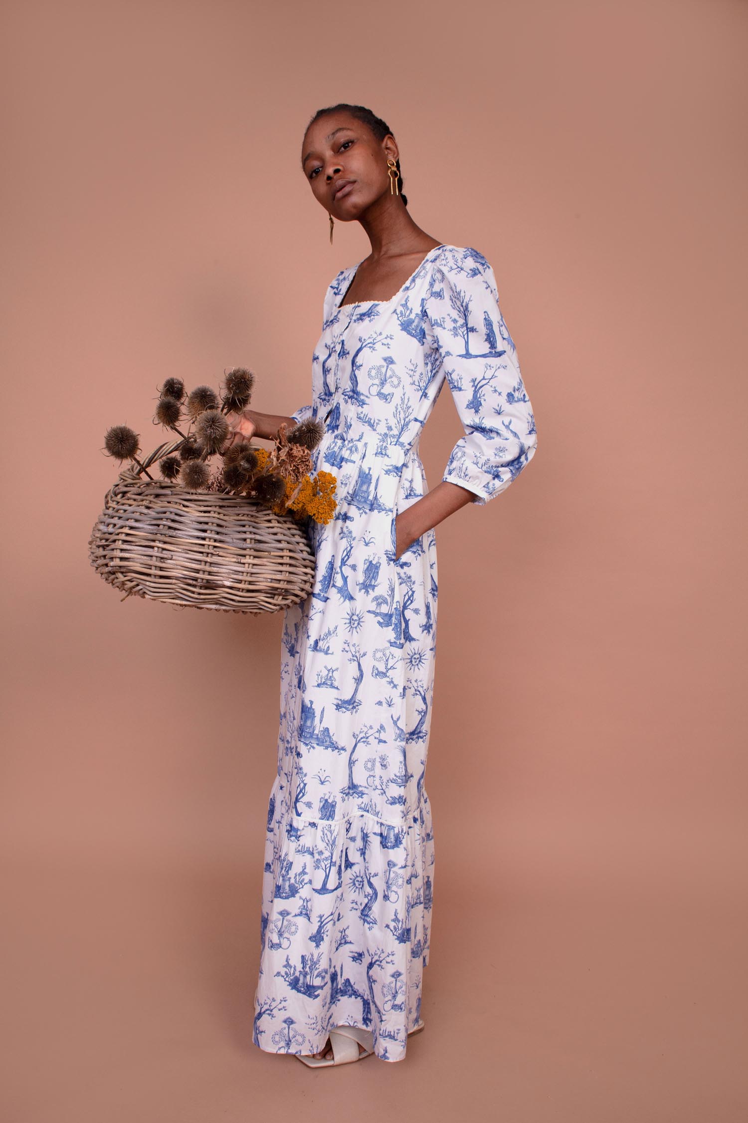 Meadows Ixora Dress Toile De Jouy Garmentory