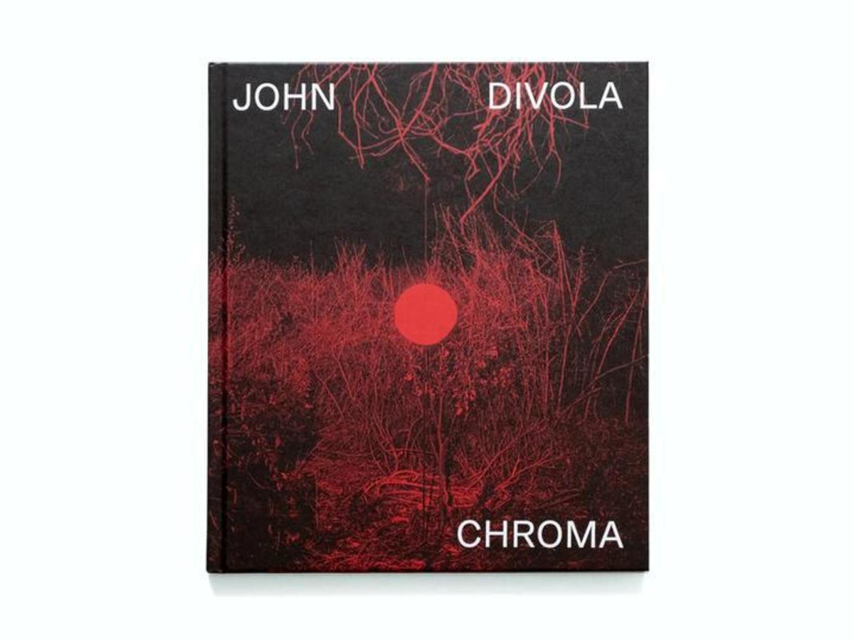 John Divola - Chroma | Garmentory