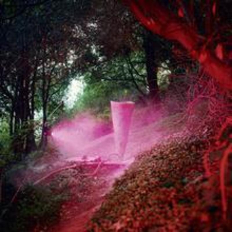 John Divola - Chroma | Garmentory