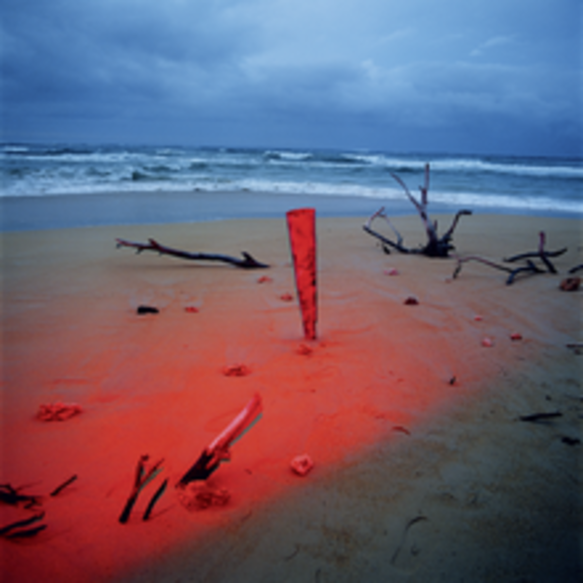 John Divola - Chroma | Garmentory