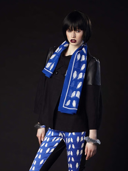 Anu Raina Bluebirds scarf Anu Raina Bluebirds scarf