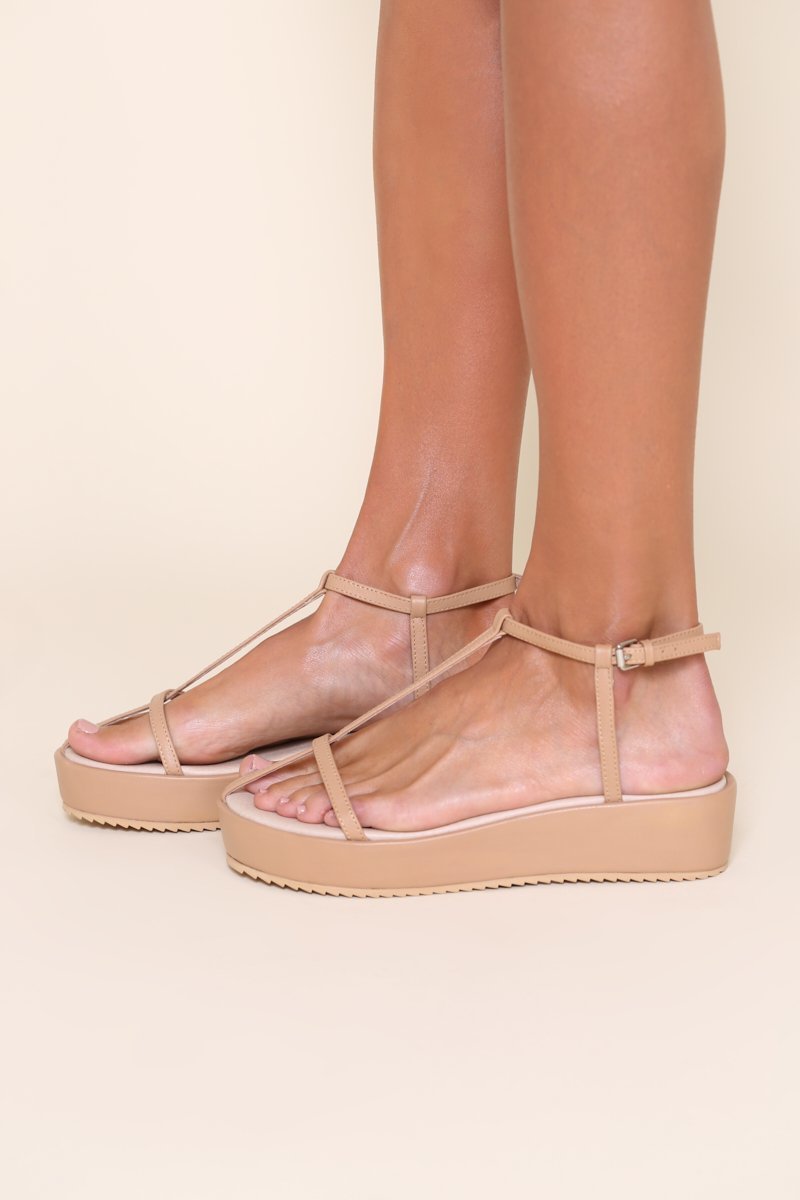 "INTENTIONALLY __________." ALGEBRA platfroms - Clay