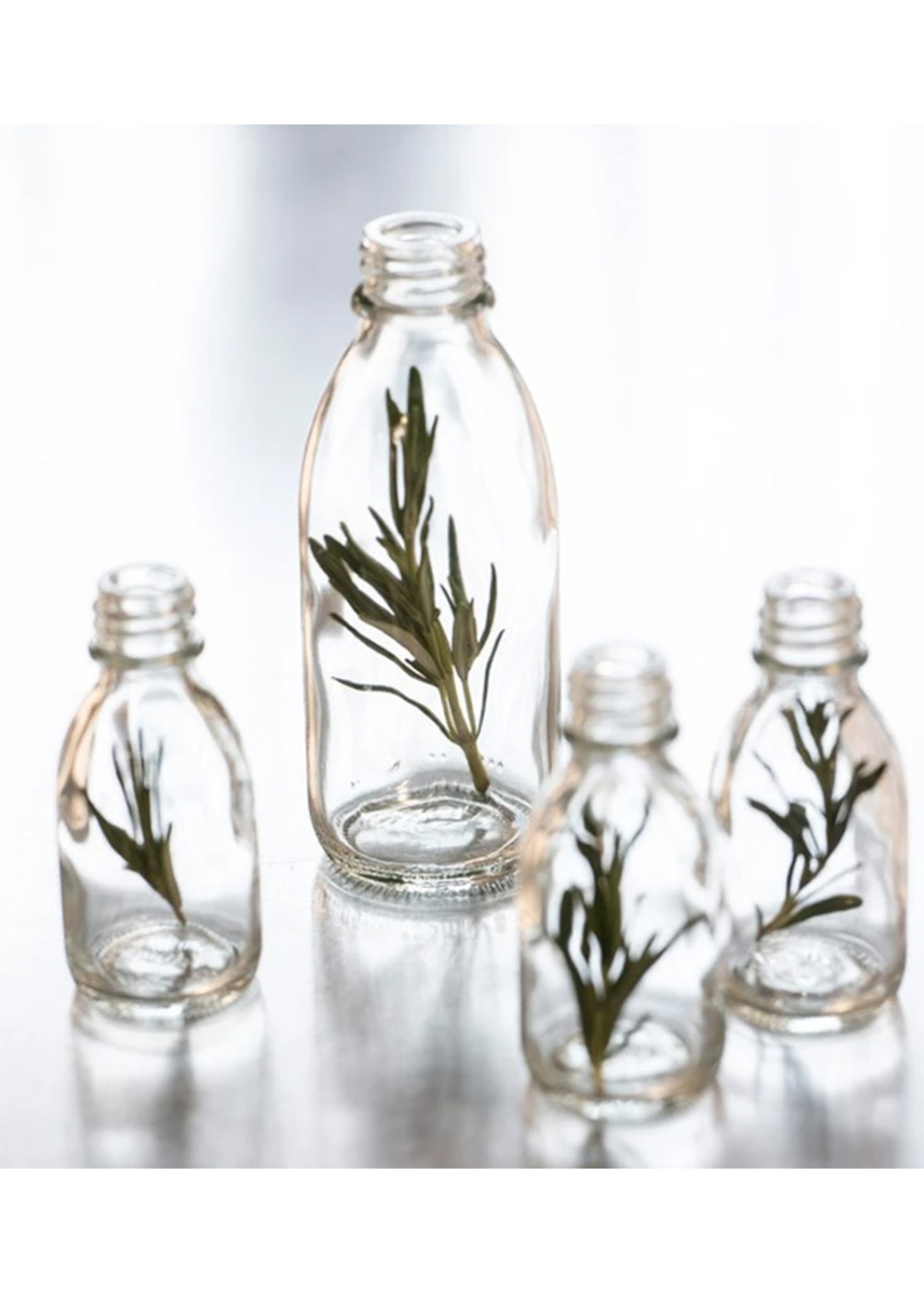 SUSANNE KAUFMANN Oil Bath For The Senses Garmentory