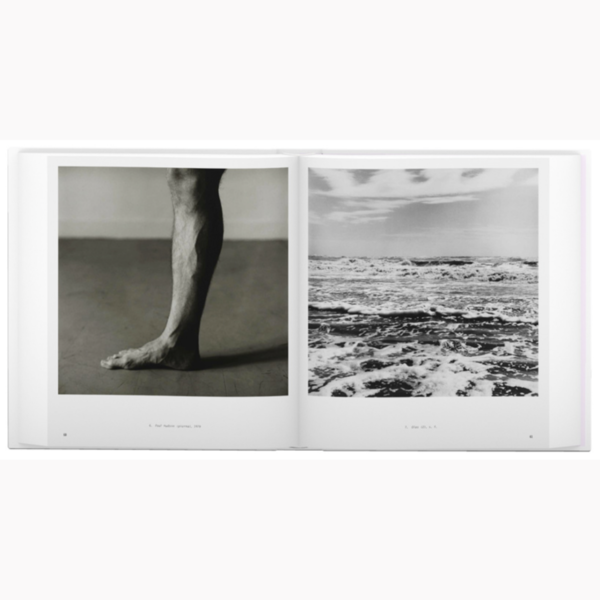 Aperture 