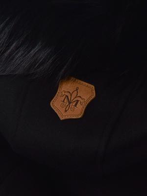 ALEXA_BLACK ALEXA_BLACK