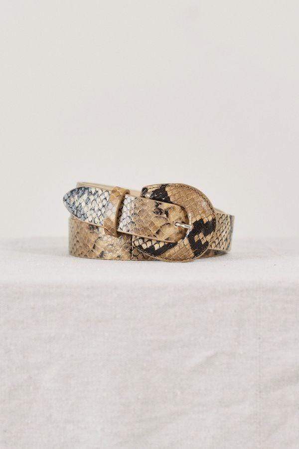Bruno Belt - Viper Bruno Belt - Viper