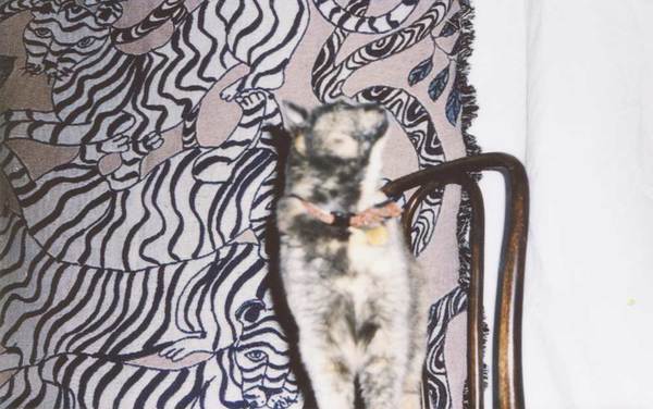 Lavender Tiger Landscape Throw Blanket Lavender Tiger Landscape Throw Blanket
