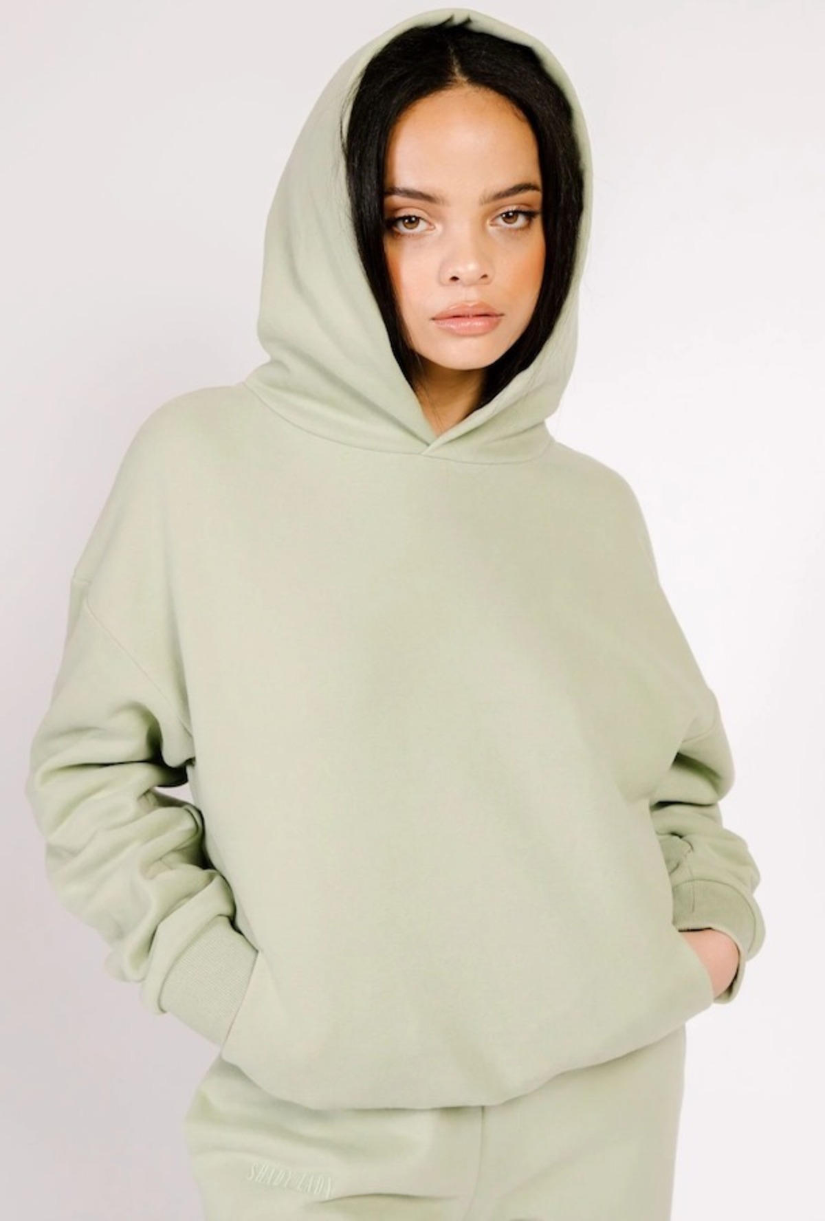 Shady Lady Butter Fleece Hoodie sweater Pistachio Garmentory