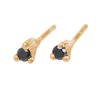 Tarin Thomas Taylor Black Diamond Earrings  - Thumbnail 1