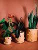 Crybaby Clay Bumpy Planters - Terracotta  - Thumbnail 1