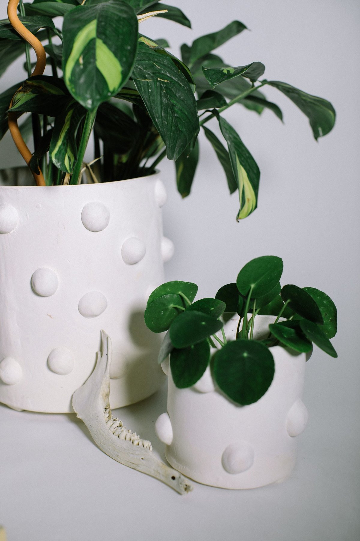 Crybaby clay Bumpy Planters - White | Garmentory