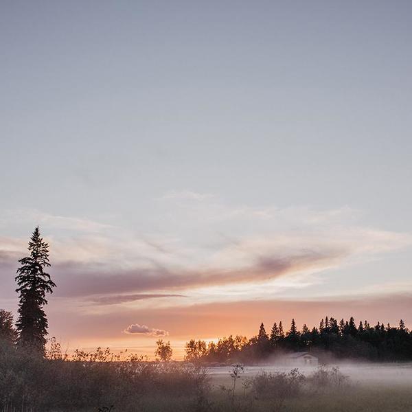 ADVICE Article Two Everyday Top - Dusk Pink