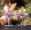 The Vintage List Ovals Crystal Cocktail Glasses - Clear - Thumbnail 1