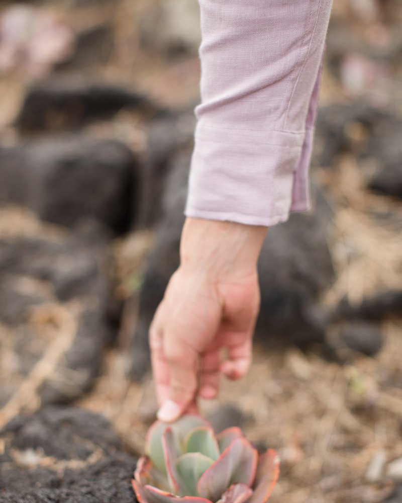Alex Crane Playa Shirt - Lavender