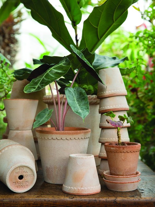 Bergs Potter Helena Pot Rose Garmentory