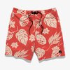 Banks Journal Vibes Boardshort - Thumbnail 1