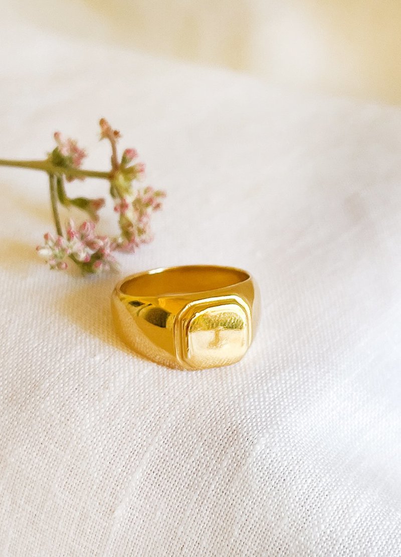 Signet Ring Wolf Circus Rings Signet Ring Tosh Fine Silver 925