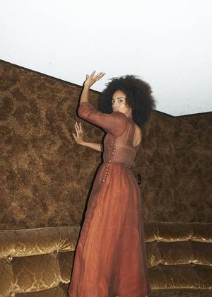Penny Sage Ray Dress - Chestnut Stripe 