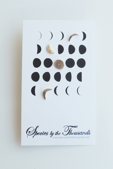 Moon Phases Earring Set Moon Phases Earring Set