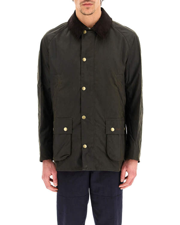 ashby jacket