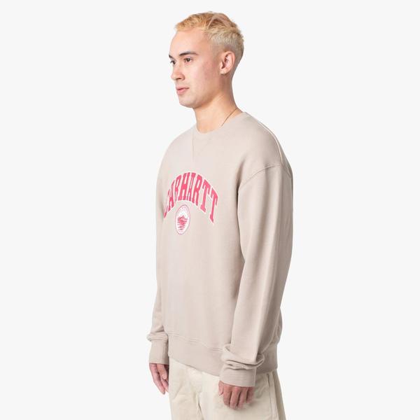 Carhartt WIP Berkeley Sweatshirt - Wall | Garmentory