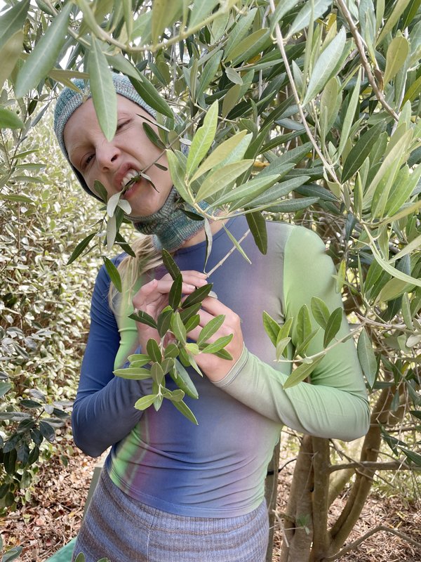 Paloma Wool Iceland Top - Northern Lights Print | Garmentory