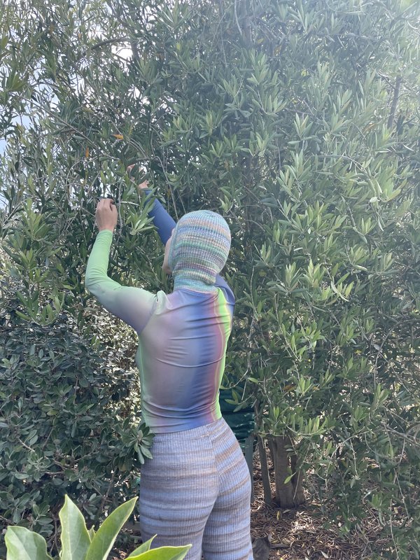 Paloma Wool Iceland Top - Northern Lights Print | Garmentory